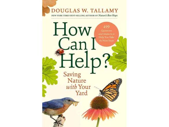 how can i help? 10